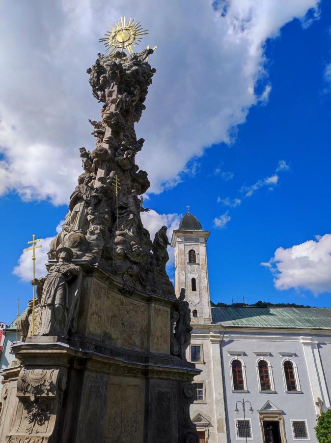 Krizkov Dom Apartment Kremnica Bagian luar foto