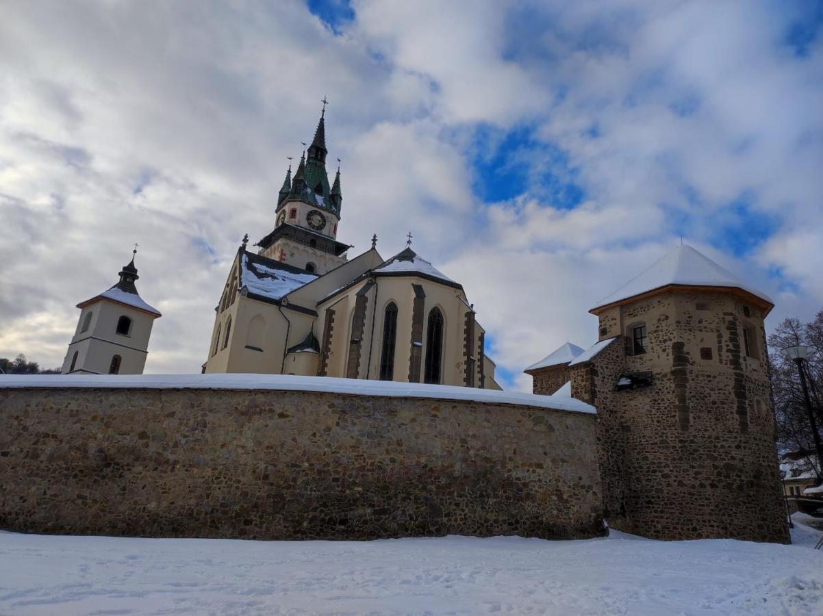 Krizkov Dom Apartment Kremnica Bagian luar foto